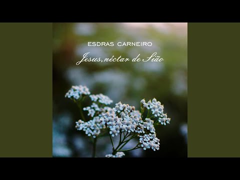 Jesus, Néctar de Sião