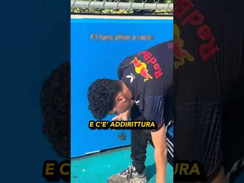 I fan della F1 dopo la gara 🏁🏎️😅