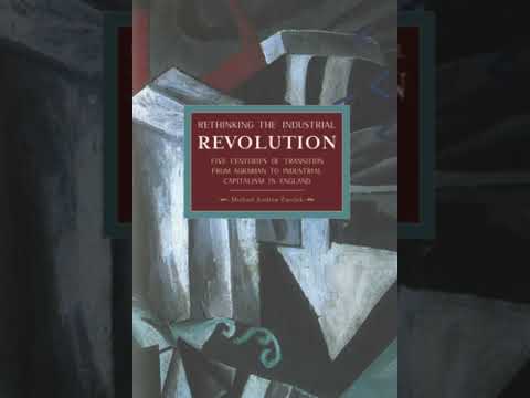 Ch. 9 of 15 Rethinking the Industrial Revolution by Michael Andrew Žmolek