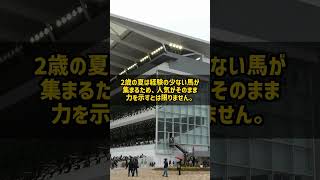 なぜ中京2歳ステークスの初年度は6番人気が勝ったのか 13頭の芝1400 #Shorts