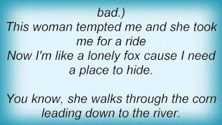 Barenaked Ladies   Fox On The Run Lyrics 1
