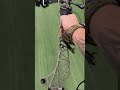 Mathews Lift 33 80lbs Is A Thing Of Beauty Archery Bow MathewsInc