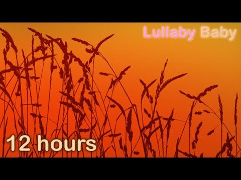 Native American Flute ♫ LONG Relaxing Music ♫ Peaceful Flute Music ✰ Relax, Meditation, Sleep