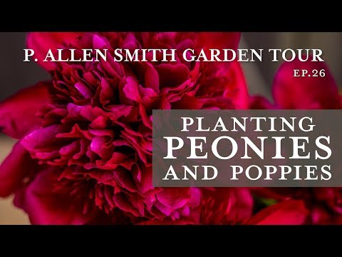 download lagu mp3 mp4 Raising Peonies In Alaska, download lagu Raising Peonies In Alaska gratis, unduh video klip Raising Peonies In Alaska
