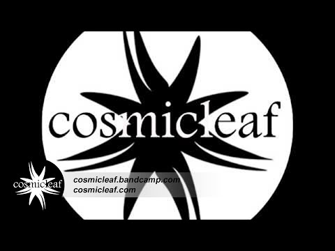 #5 Discovering Cosmicleaf.com - Mix & Selection by Side Liner