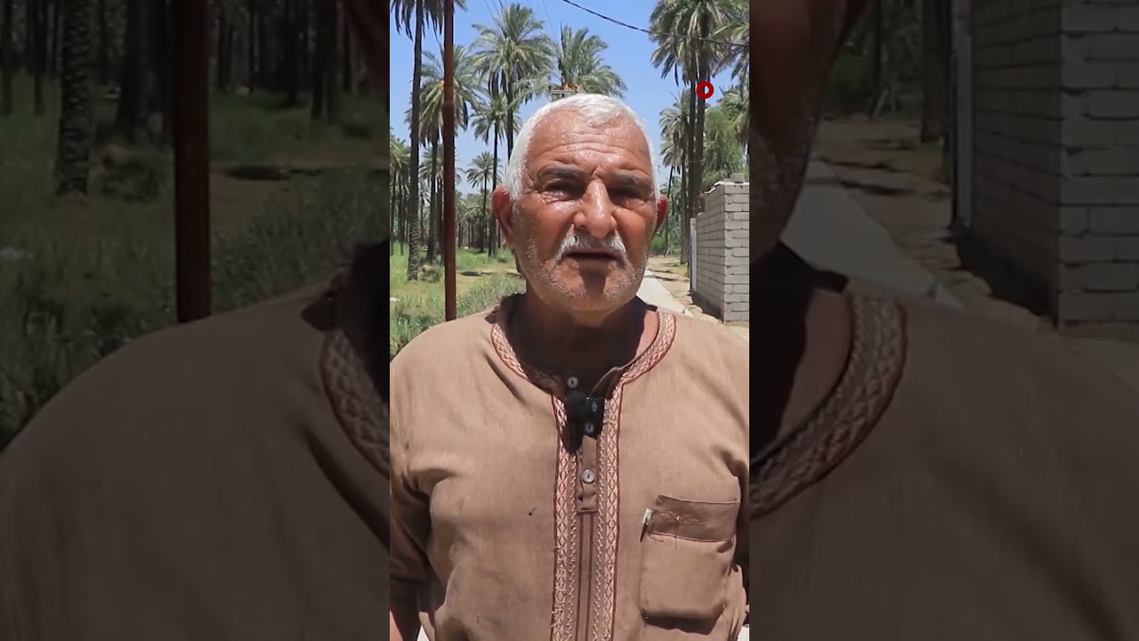فيديو | تجريف 6 آلاف دونم في ديالى خلال عام ..مصادر: ضغوط تمارس على أصحاب البساتين لبيع أراضيهم