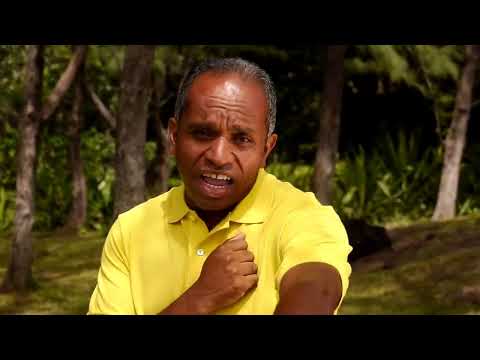 Jean Roland MIQUEL - Timide