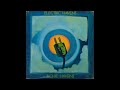Richie Havens - Electric Havens (1968) Part 2 (Full Album)
