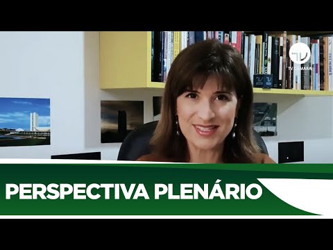 Confira o que pode ser votado no Plenário nesta semana - 03/08/20