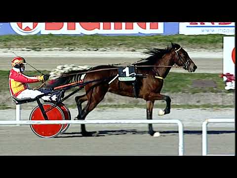 Napoli Trotto 05/02/2023 - 1ª corsa