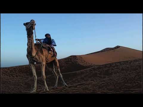 حسنا يا ليلى الشاب التوهامي