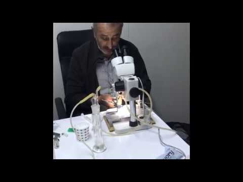 Damızlık karniol ana arı üretimi ve sperm toplamak