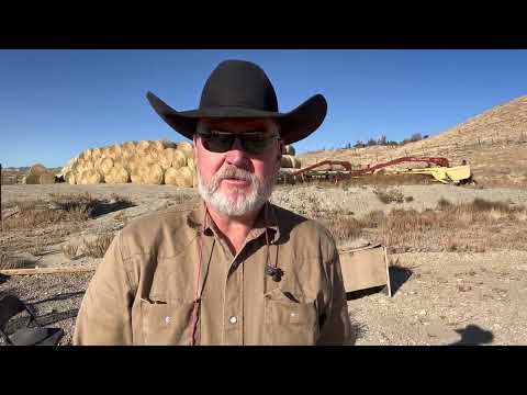 Ruger single six range review