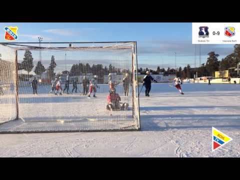 170211 Bollnäs vs Uppsala BoIS