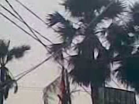 sun natural calamities 20 01 2008