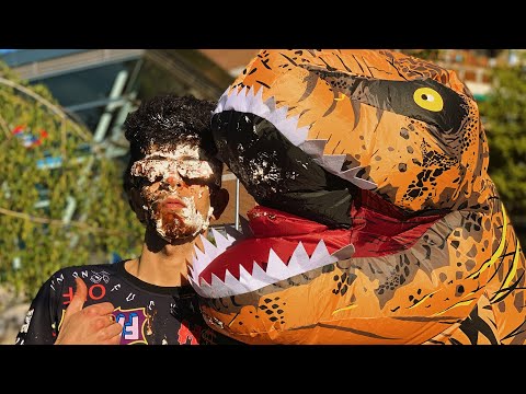 BEJO - PICO Y PALA 🦖