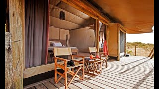 Basecamp Eagle View Camp | Masai Mara Safari