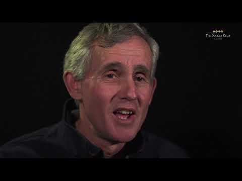 Kauto Star - Einfach das Beste