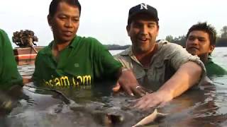 Chasing Giants: In Search of the World's Largest Freshwater Fish