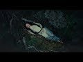 Noah Cyrus Way Of The World Feat Ella Langley Official Visualizer