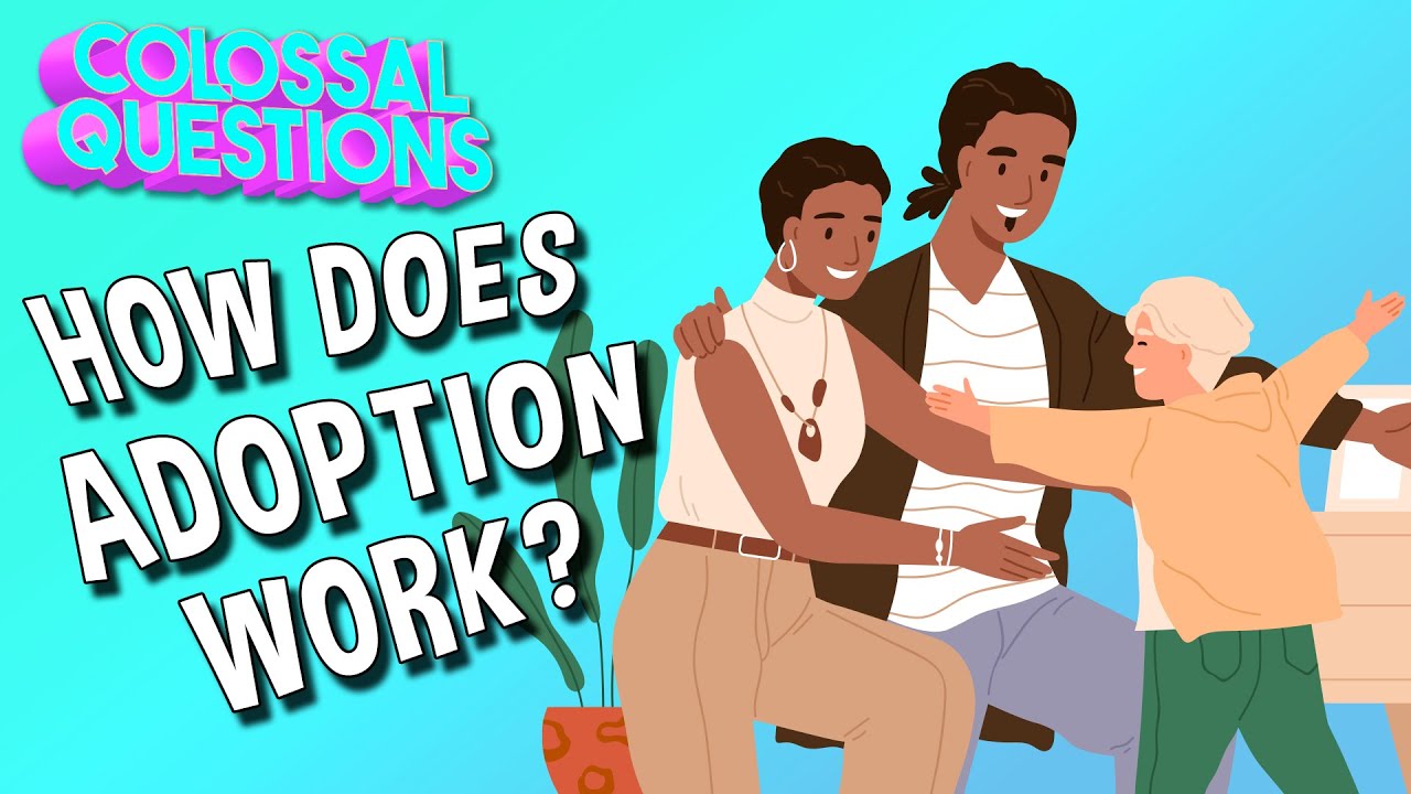 How Does Adoption Work? | COLOSSAL QUESTIONS