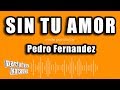 Pedro Fernandez - Sin Tu Amor (Versión Karaoke) - PARTY TYME KARAOKE EN ESPAÑOL Pedro Fernandez - Sin Tu Amor (Versión Karaoke)
