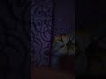 Https Www Youtube Com Watch V DGVJtAHzzDQ