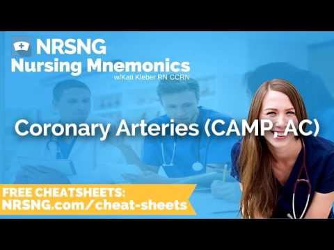 Coronary Arteries CAMP, AC Nursing Mnemonics, Nursing School Study Tips