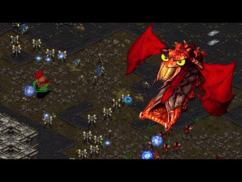 The Best Unit In The Game.