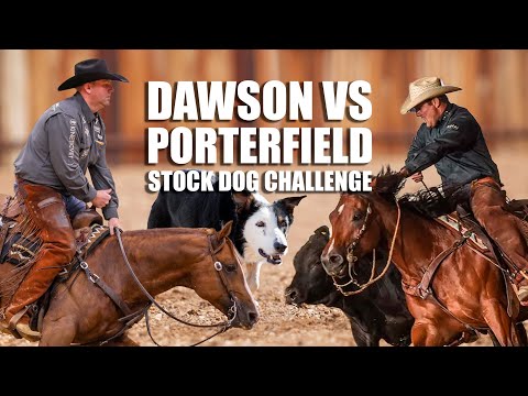 Ep 8 - Moura Dogmanship - Chris Dawson vs Kody Porterfield Stock Dog Challenge - Part 1