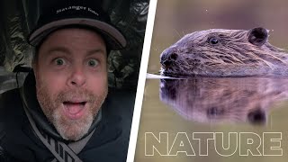 WILDLIFE PHOTOGRAFPHY with floating blind // Close encounter with this animal