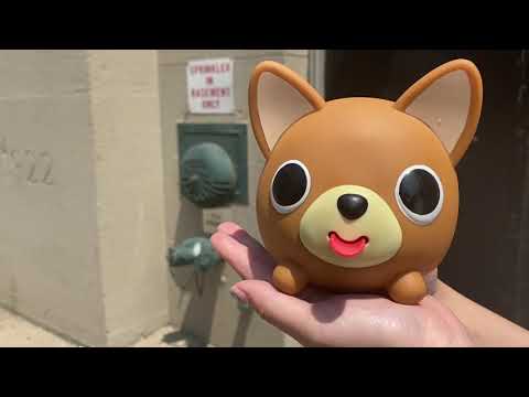 Chihuahua Takes a Walk To The Vessel NYC