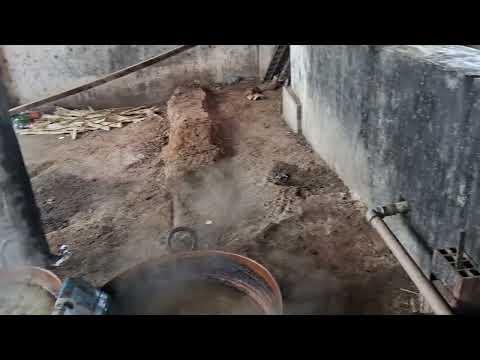 TRADIÇÃO MAIS DE 100 ANOS EM FRECHEIRINHA CEARÁ!!