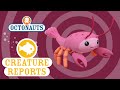 Octonauts Creature Report Reef Lobster