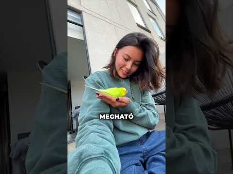 Egy Gyönyörű Barátság 🥰