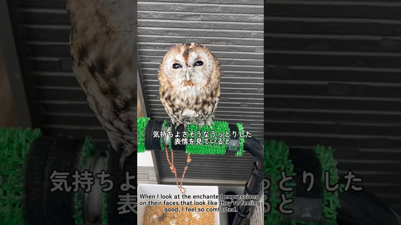 ポン太の好きな場所5選！