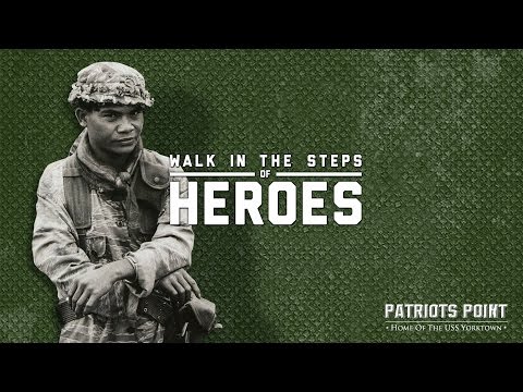 Secret Warriors of Vietnam:  Stats about the Montagnards