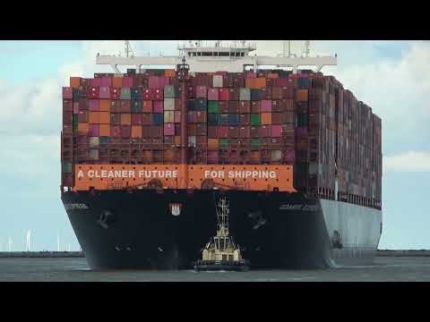 Small But Mighty: How Tugboats Dominate Europe's Largest Port