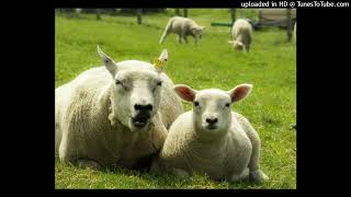 Lucian Green - Mother's Day 2024 Song 3