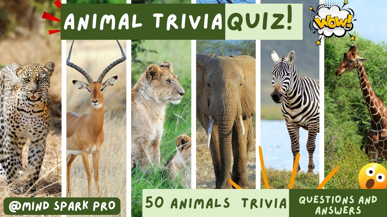 ANIMAL TRIVIA QUIZ #01 - 50 Animals Knowledge Trivia Questions and Answers | Pub Quiz1