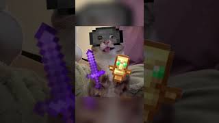 RANKING BEST MINECRAFT MOMENTS | #minecraft #memes #shorts
