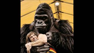 🤘💥 50 JAHRE „SISTER KING KONG“! 🦍🎸catch as catch can 🫯💥 #udolindenberg #panikpit