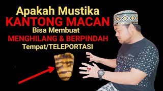 Download lagu Apakah KANTONG MACAN bisa Membuat MENGHILANG & PINDAH TEMPAT (Teleportasi) mp3