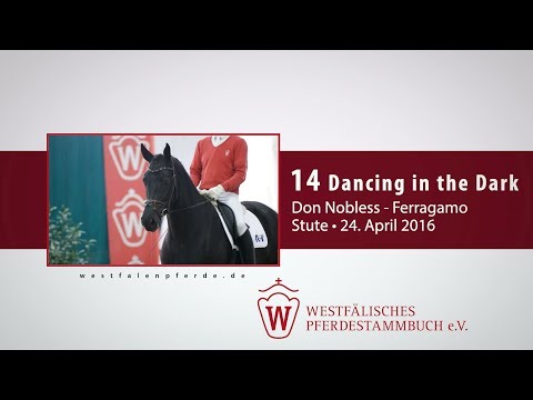 14 Dancing in the Dark Stute v. Don Nobless - Ferragamo