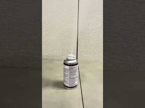 Hot Shot Bed Bug & Flea Fogger