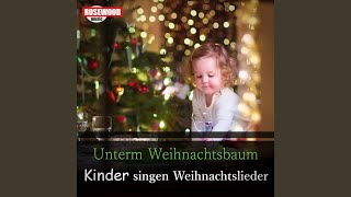 Der Christbaum ist der schönste Baum