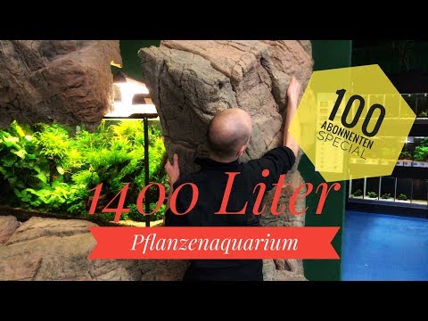 , title : '1400 Liter XXL Pflanzenaquarium - Abonnenten Spezial'