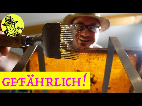 Meine unglaubliche Honigernte / Imker leben gefährlich / Rigotti bei den Bienen /