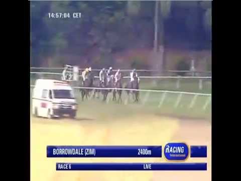 2014.04.20 Zimbabwe Derby - Demitasse