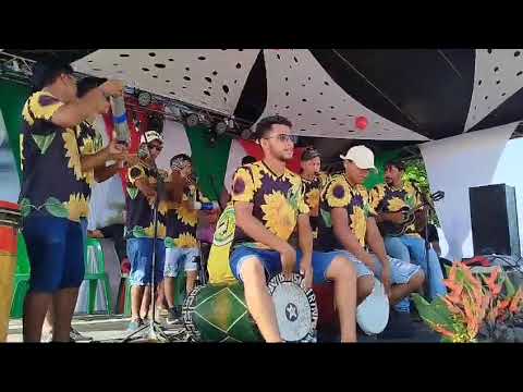 Uma tocada na vila de Cafezal ( Magalhães Barata-PA ) 